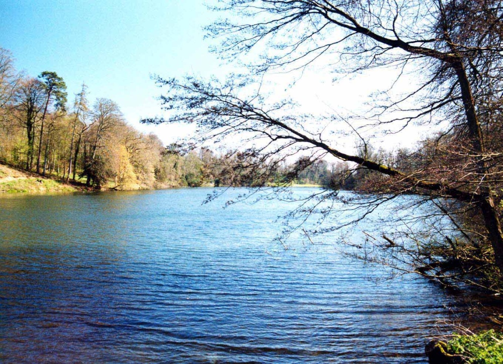 Photograph of Fonthill lake