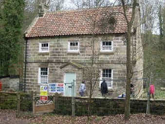 Midge Hall, Falling Foss