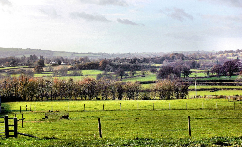 Shillingstone in Dorset