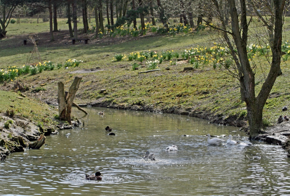 Washington Wetlands Centre, Tyne & Wear.