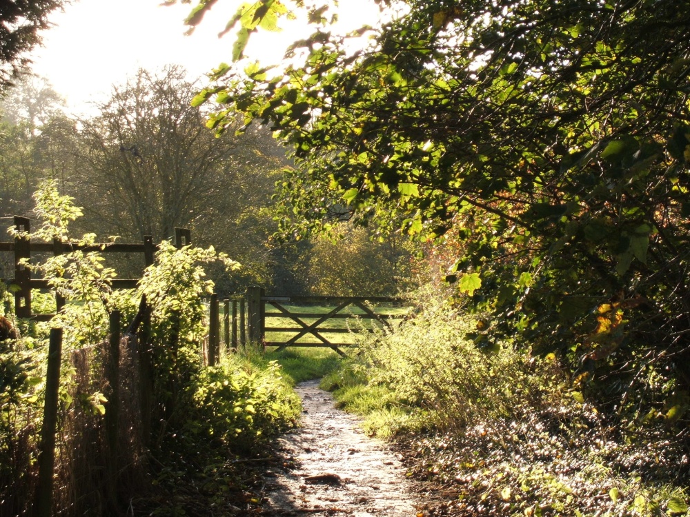 Dinckley near Ribchester, Lancashire.