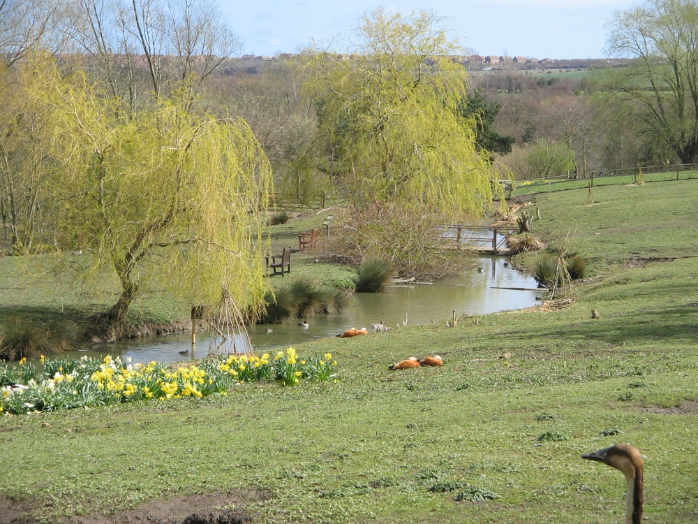 Washington Wetlands Centre.