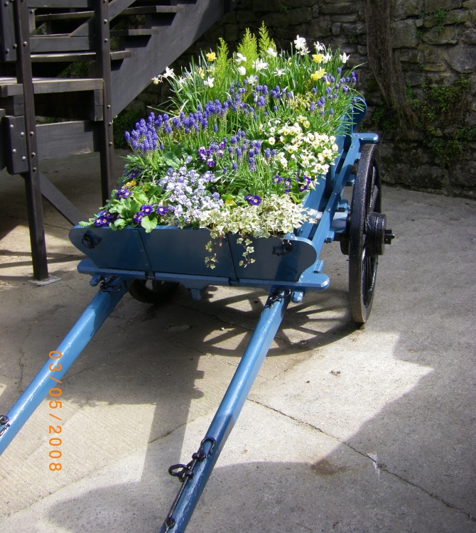 Flower Cart at Chatsworth Farmyard & Adventure Playground