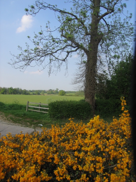 Wheatley, Oxfordshire