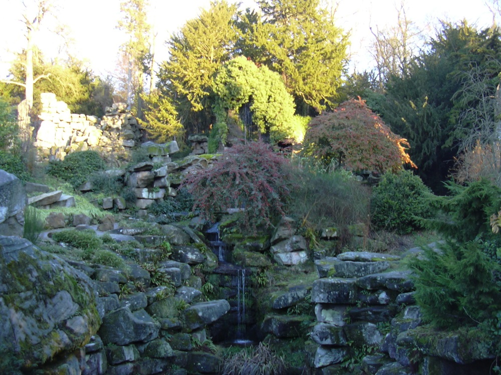 The Strid garden