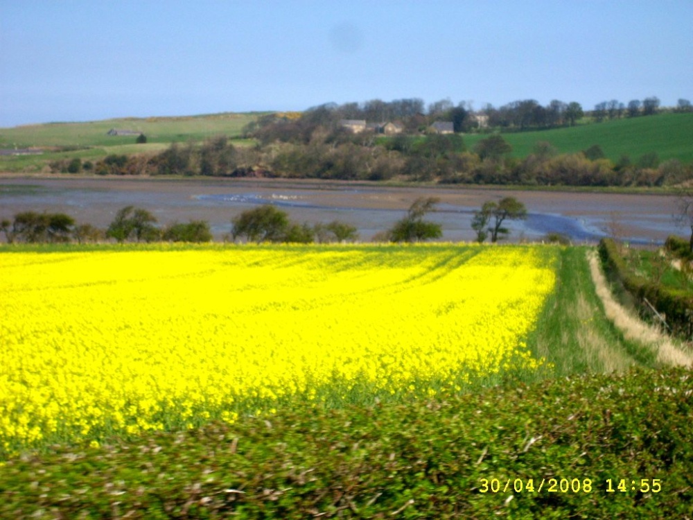 Coast Road to Seahouses from Bamburgh