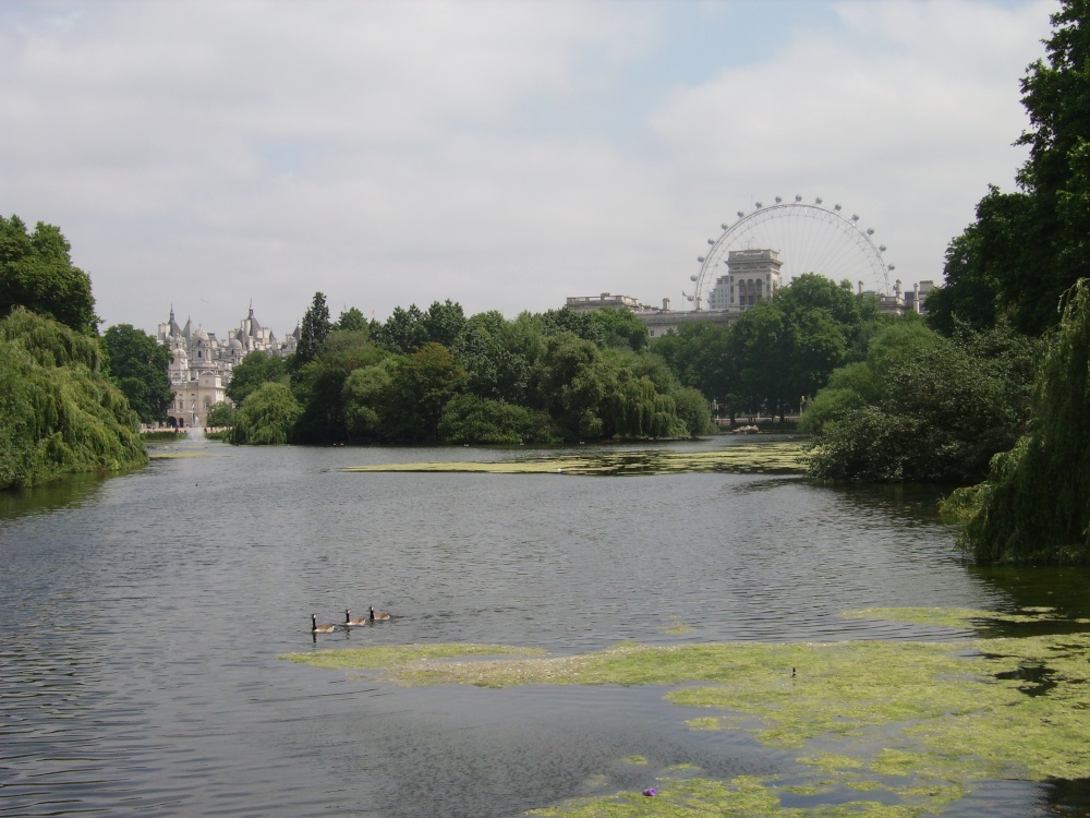 St. James Park