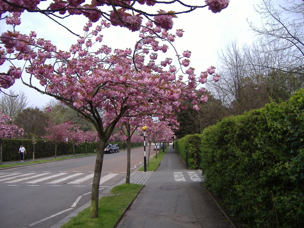 Regent's Park