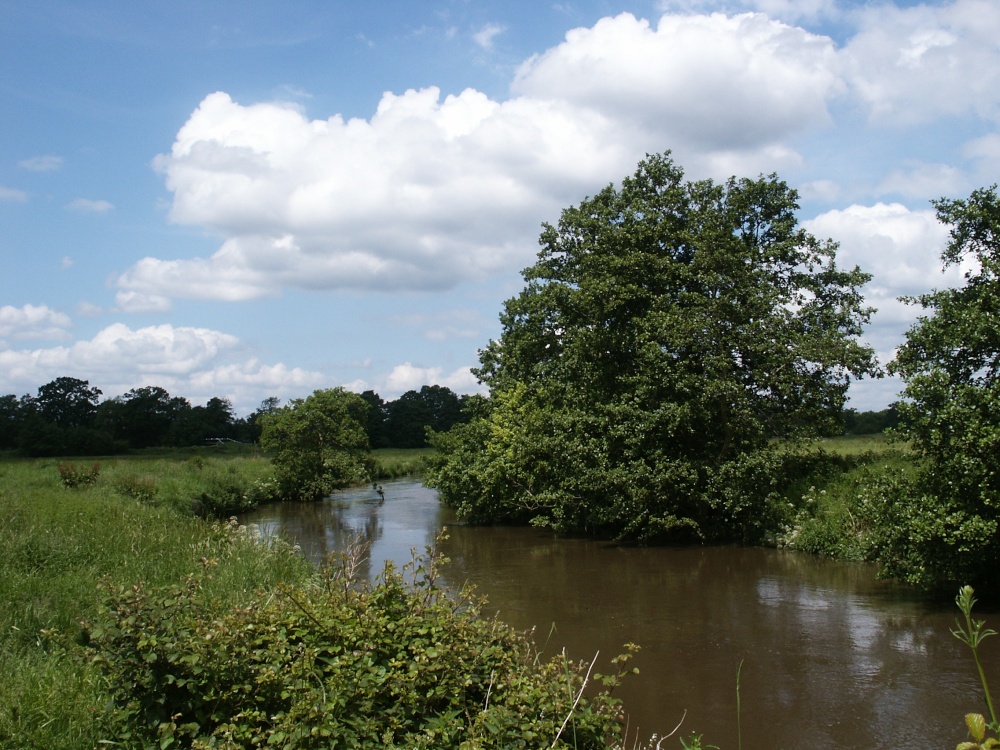 River Wey    nr.  Send Church.