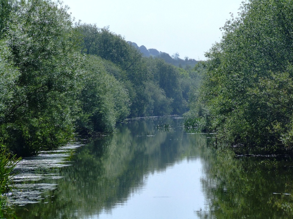 Denaby Ings near Mexborough.