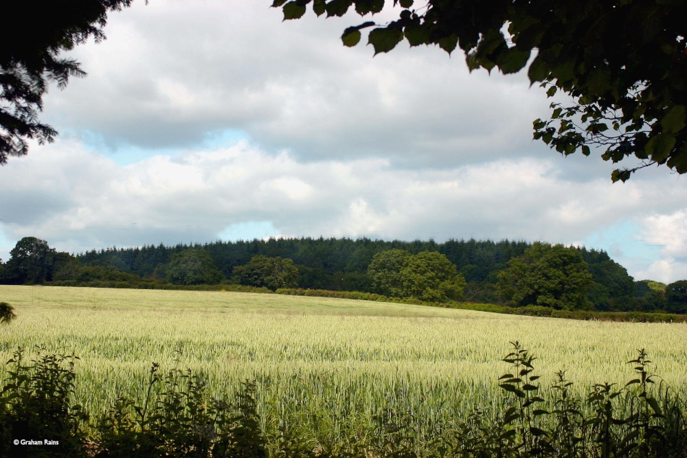 Shillingstone in Dorset