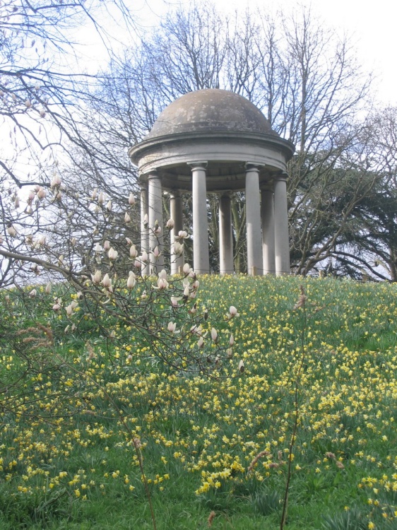 Spring in the Kew Gardens