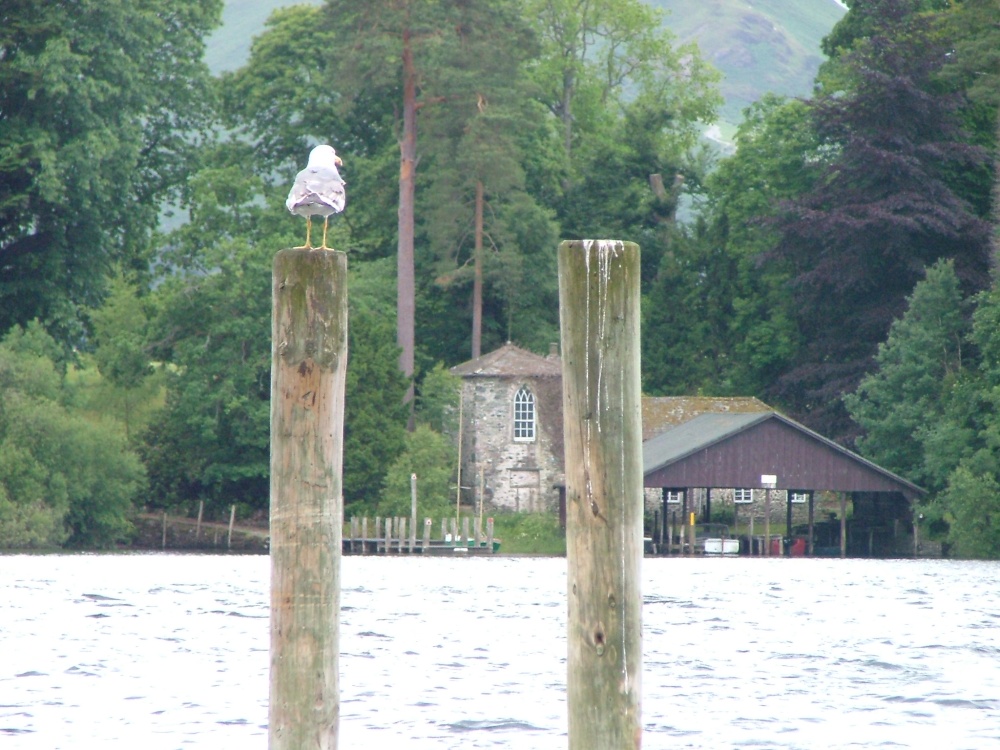 A view of Derwentwater