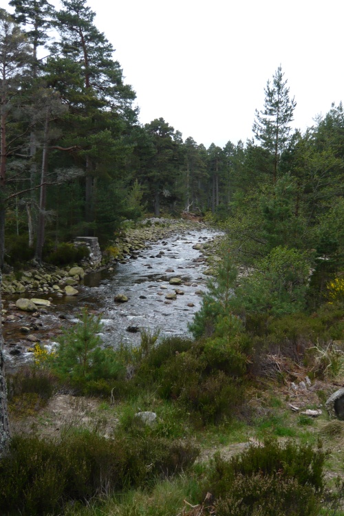 Glen Tanar near Aboyne