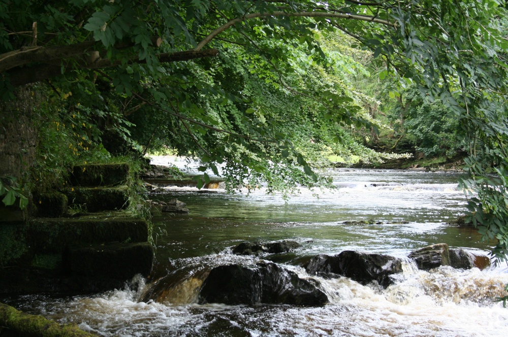 River Hodder