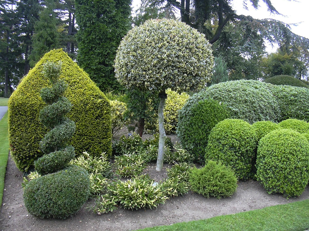 Topiary