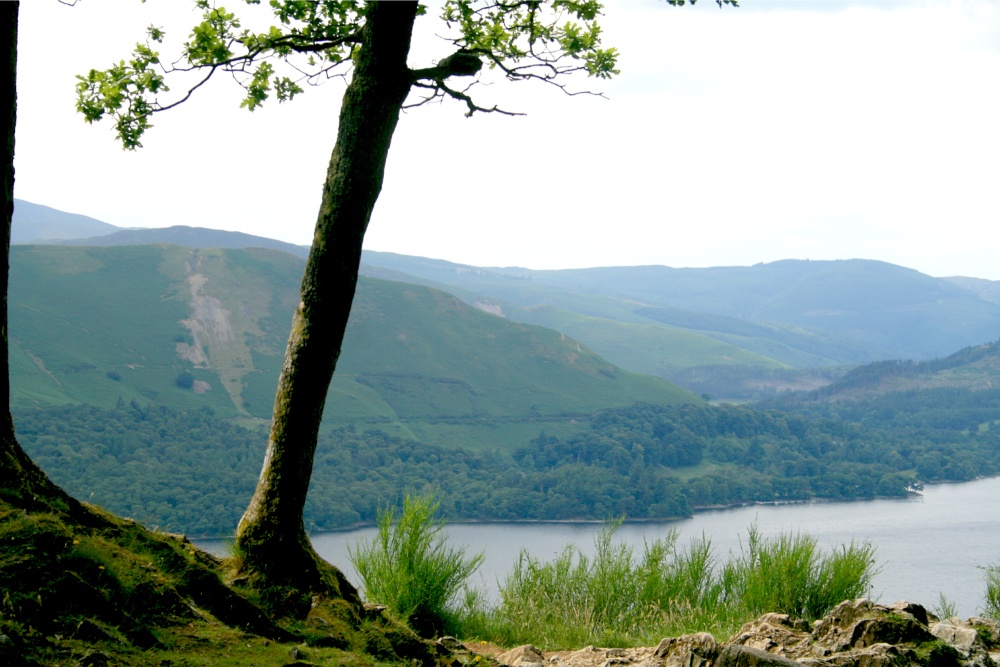 Surprise View overlooking Derwentwater