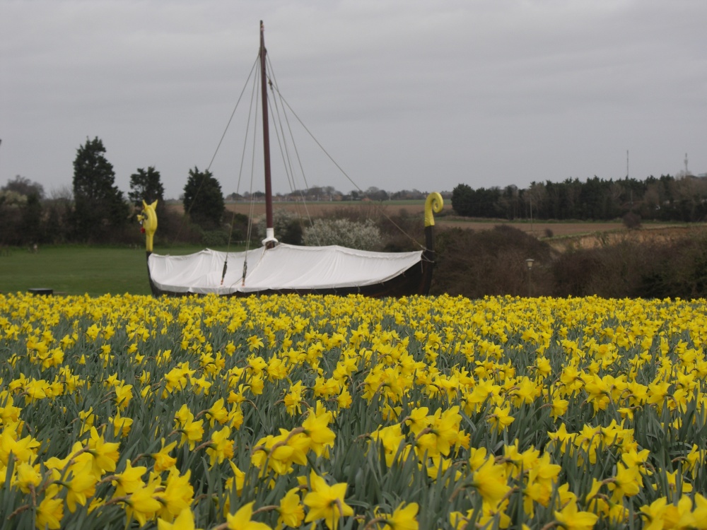 Viking longship