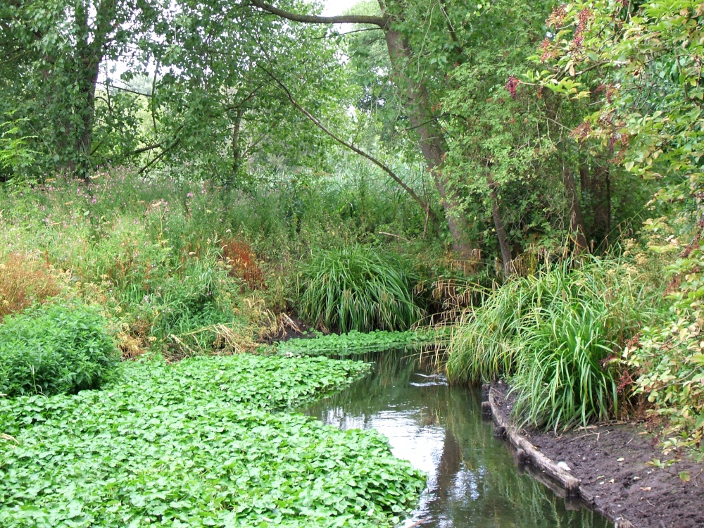 Morden Hall Park