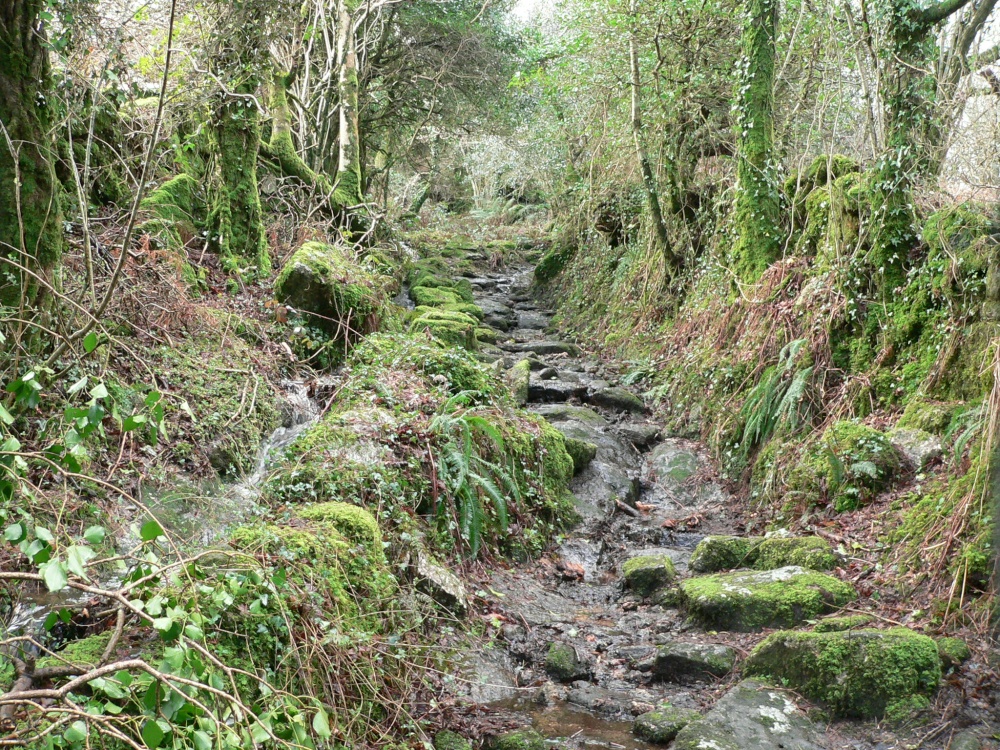 Bridleway