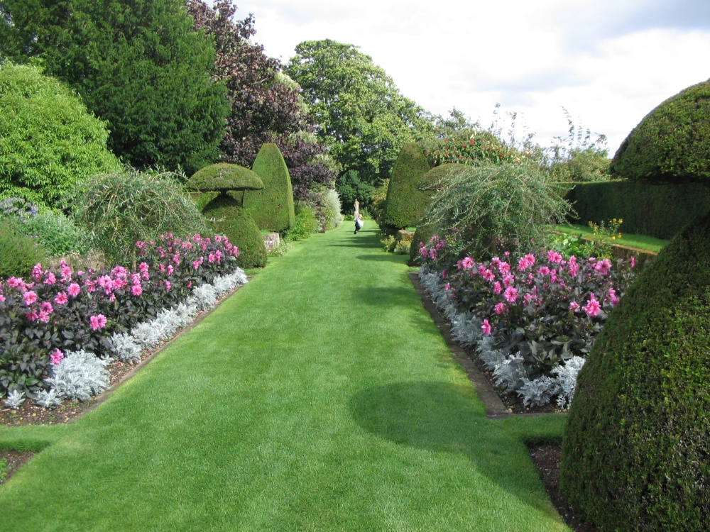 Topiary & borders