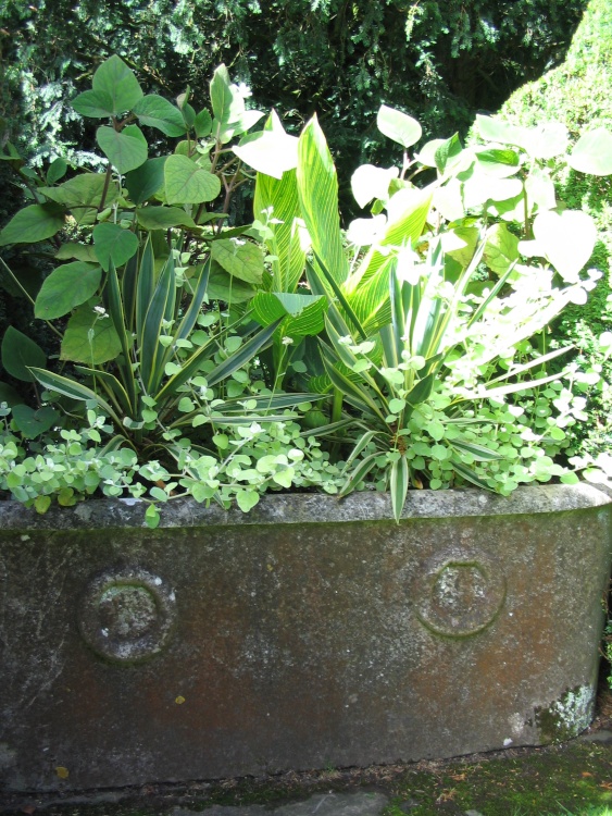 Stone Trough