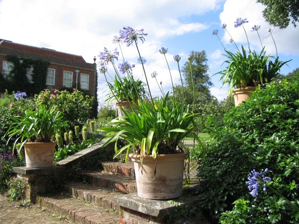 The Garden photo by Jan Minter