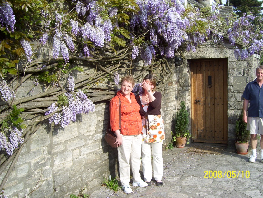 Wisteria in Corfe