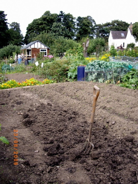 The Allotments