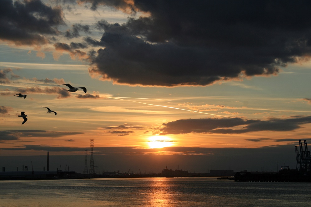 The Thames at Northfleet