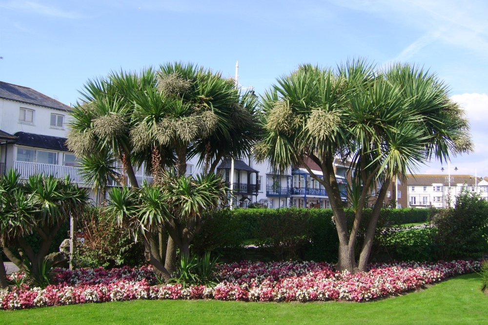 Waterloo Square