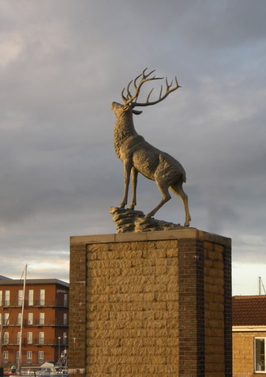 Marina Stag