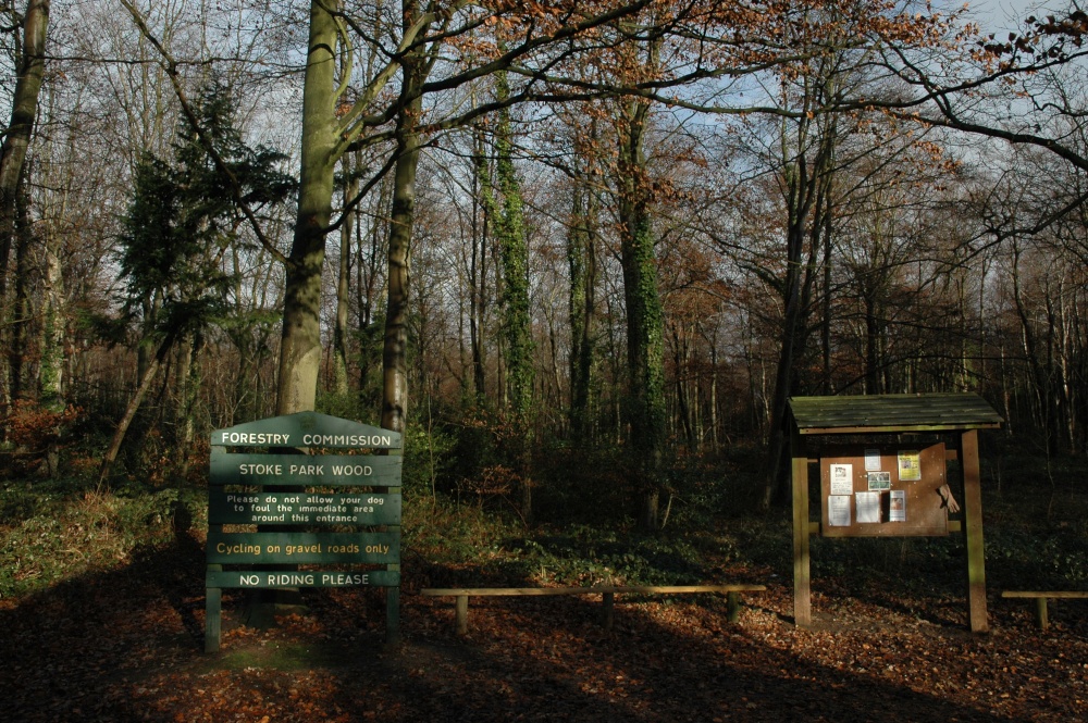 Stoke Park Wood. Dec 2005