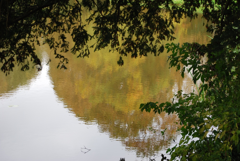 Autumn reflections