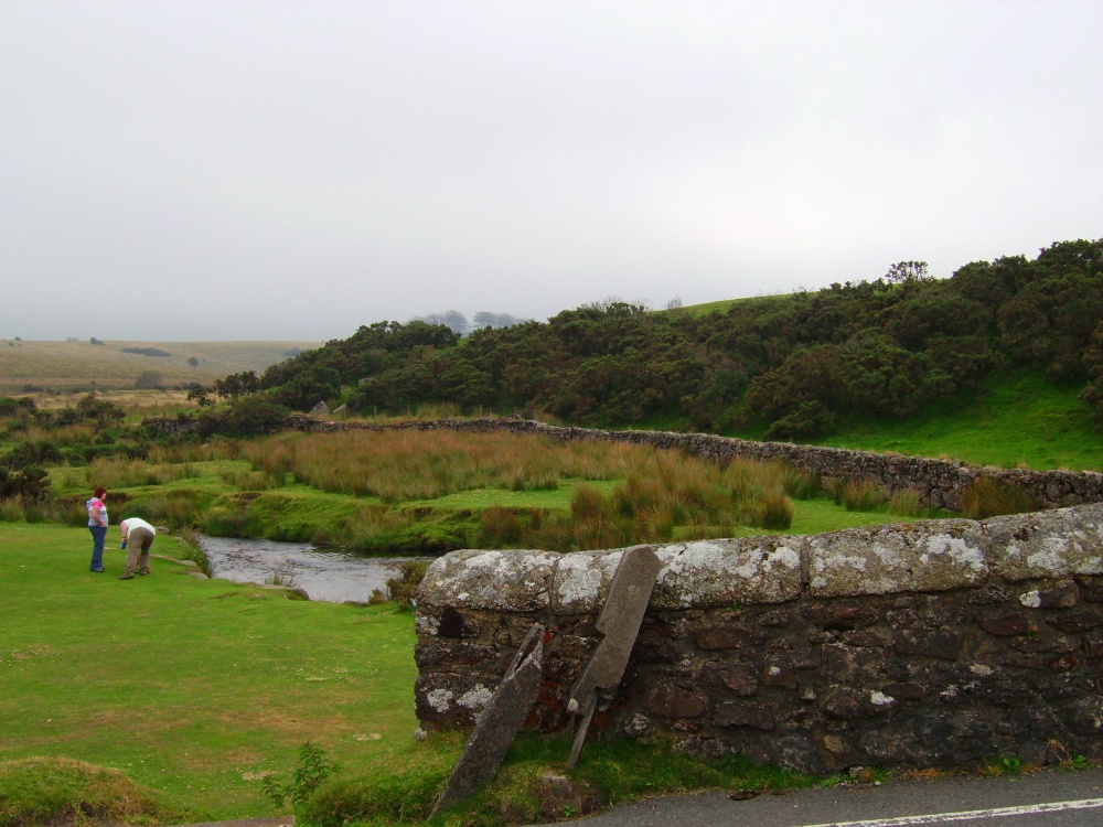 DartmoorView