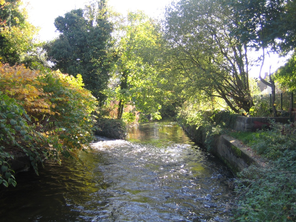 The River Wandle