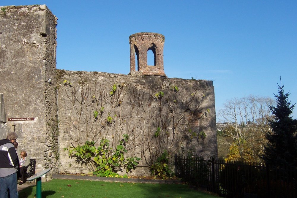 Blarney Castle Feature