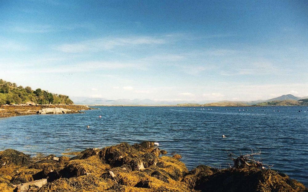 Photograph of Views of County Cork