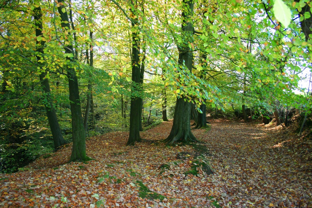 The colours of Autumn