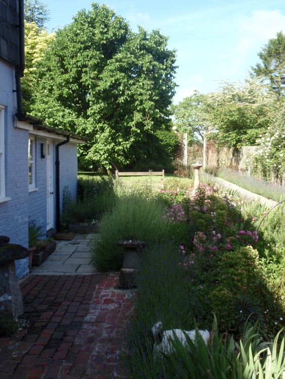 New Alresford garden