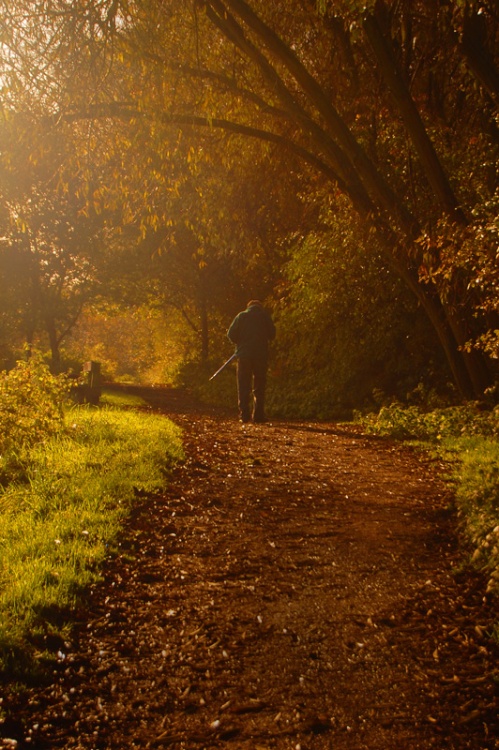 Autumn walk