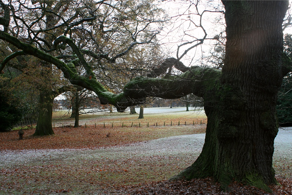 A frosty morning at Nidd