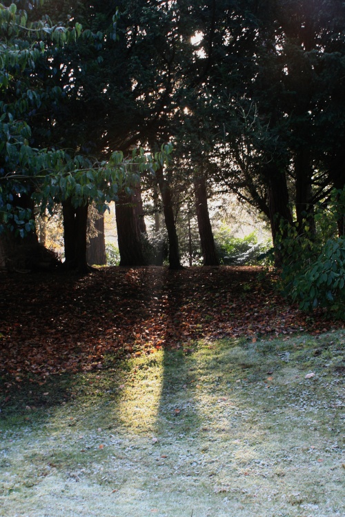 Frosty morning at Nidd.