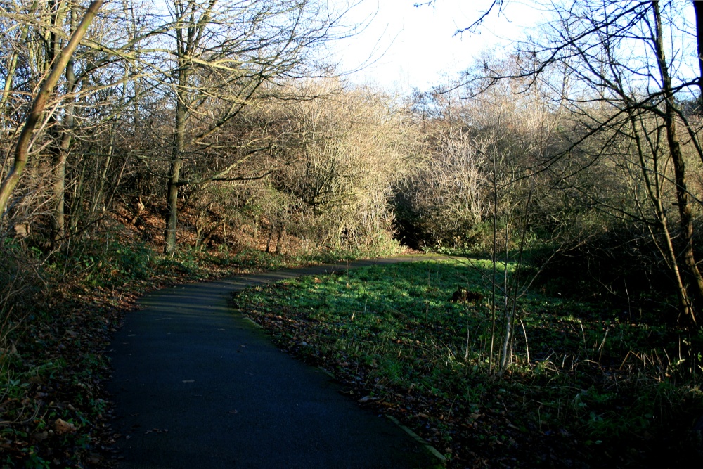 Hawthorn Wood