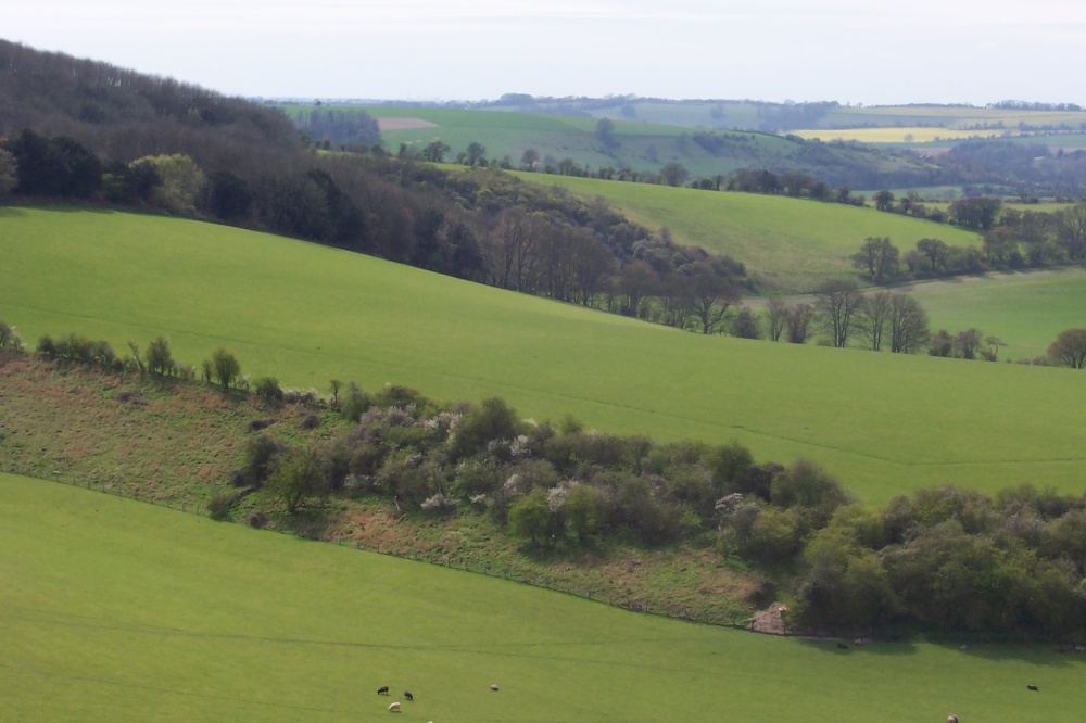 Old Winchester Hill