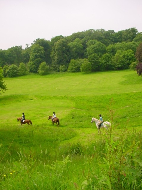 Riders at Ashton Court