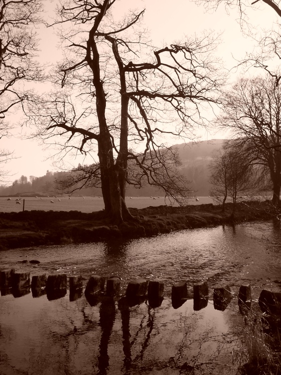 River Rothay Ambleside