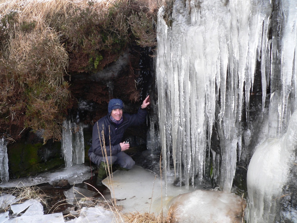 Yet more icicles