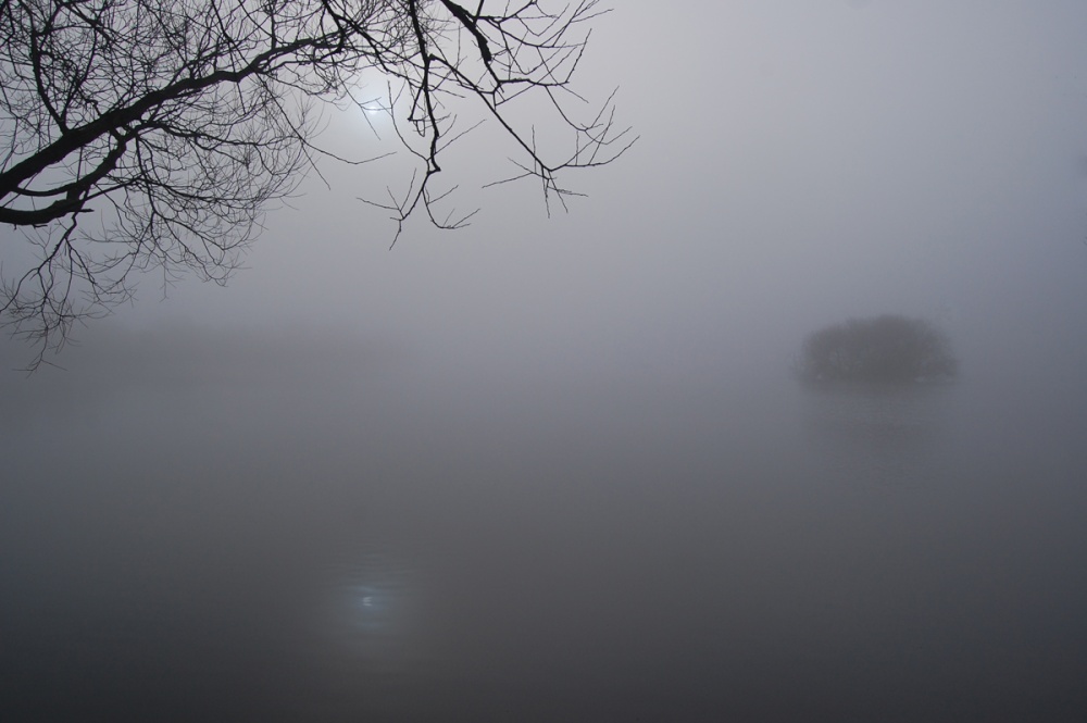 Misty lake