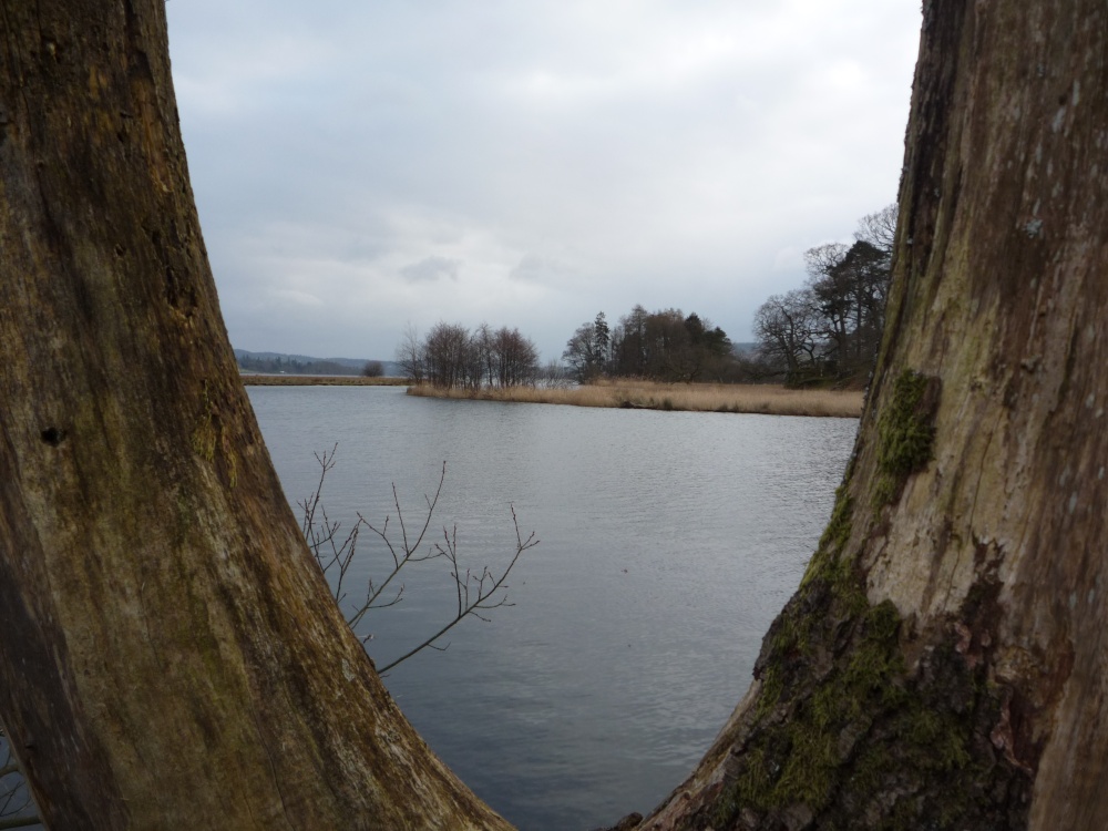 Birdhouse Meadow, Ambleside